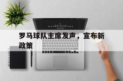 开云体育入口-罗马球队主席发声，宣布新政策的简单介绍