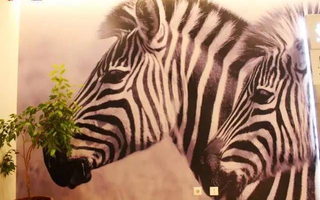 雄狮勇夺东部,火箭雄霸西部 雄狮勇夺东部,火箭雄霸西部