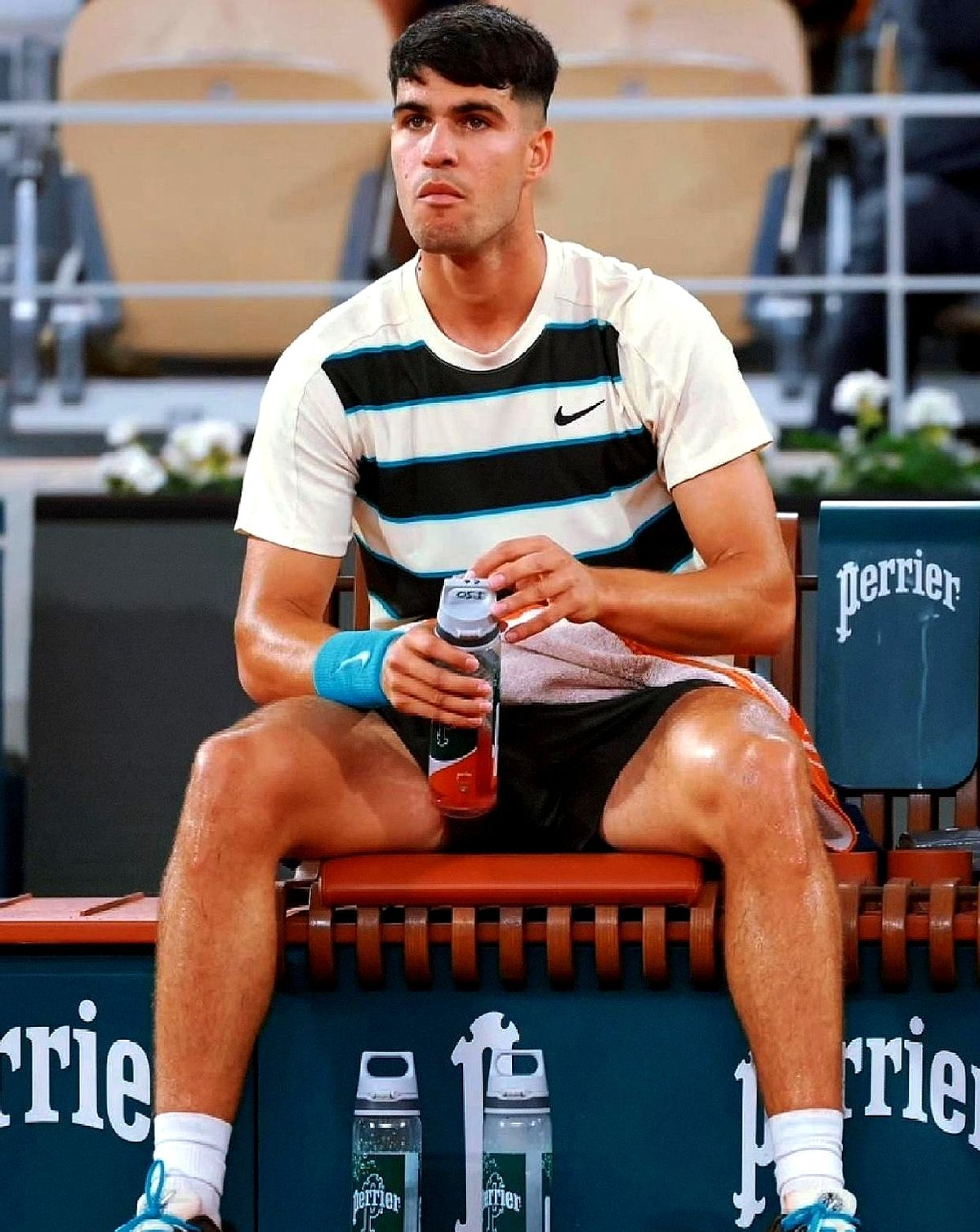 戴维斯杯逆转拉沃尔杯,辛纳点燃赛场的简单介绍 戴维斯杯逆转拉沃尔杯,辛纳点燃赛场的简单介绍