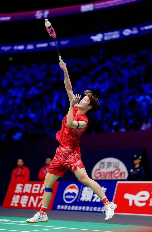 马来西亚队险胜德国队,陈雨菲带队取胜的简单介绍 马来西亚队险胜德国队,陈雨菲带队取胜的简单介绍