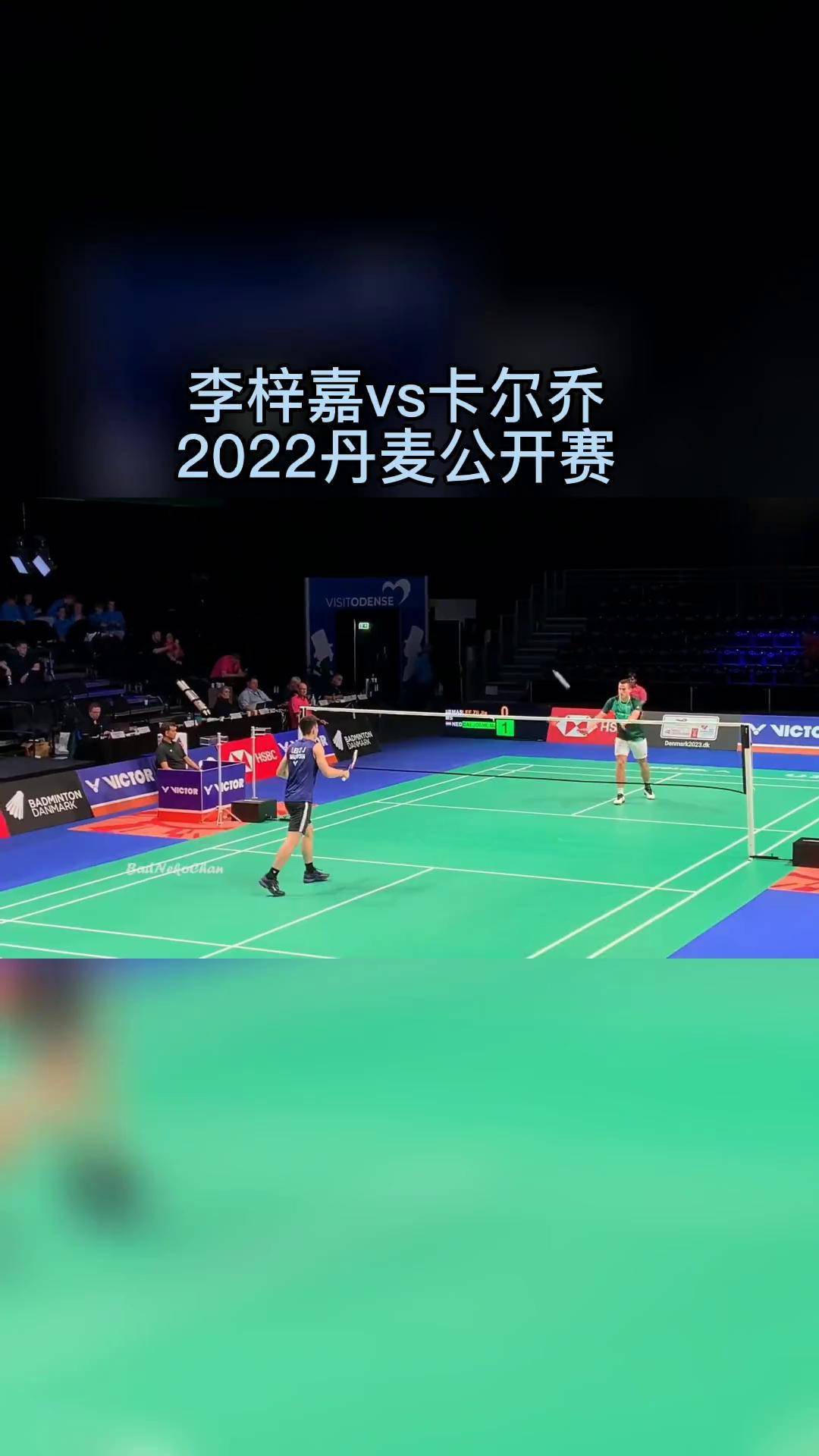 丹麦队轻取法国队，李梓嘉高光表现